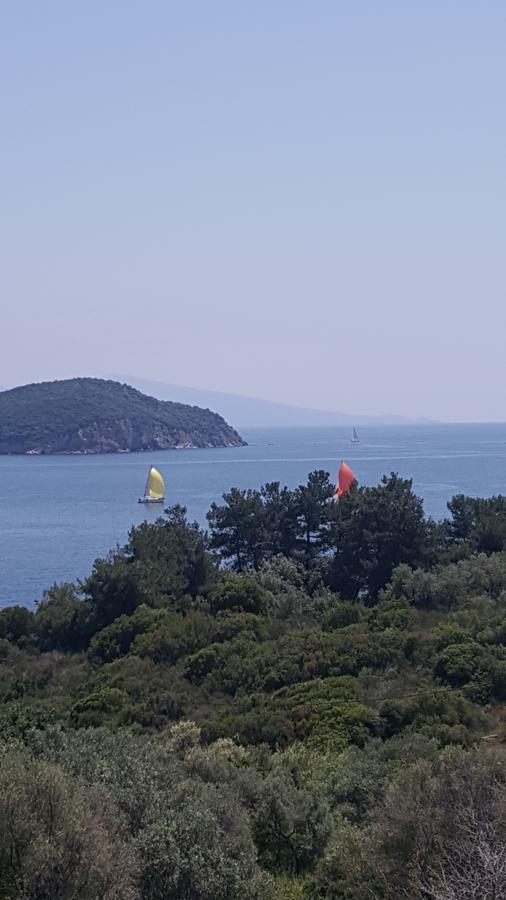 Sea Path Apartment PalaiónTsiflíkion Dış mekan fotoğraf